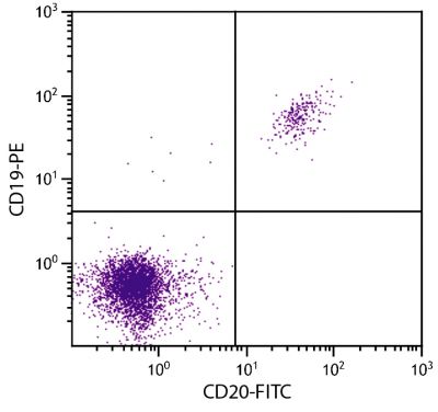 Human peripheral blood lymphocytes were stained with Mouse F(ab')<sub>2</sub> Anti-Human CD20-FITC (SB Cat. No. 9352-02) and Mouse Anti-Human CD19-PE (SB Cat. No. 9340-09).