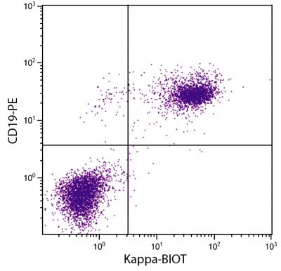 BALB/c mouse splenocytes were stained with Rat Anti-Mouse Kappa-BIOT (SB Cat. No. 1170-08) and Rat Anti-Mouse CD19-PE (SB Cat. No. 1575-09) followed by Streptavidin-FITC (SB Cat. No. 7100-02).