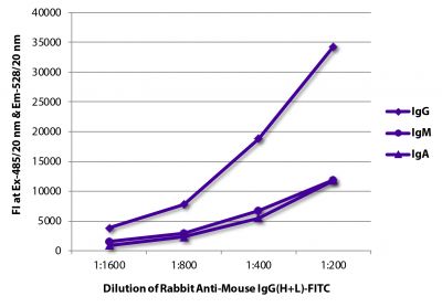 FLISA plate was coated with purified mouse IgG, IgM, and IgA.  Immunoglobulins were detected with Rabbit Anti-Mouse IgG(H+L)-FITC (SB Cat. No. 6170-02).