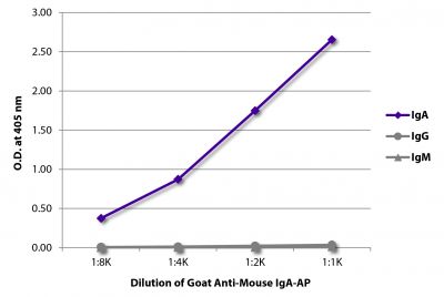 ELISA plate was coated with purified mouse IgA, IgG, and IgM.  Immunoglobulins were detected with serially diluted Goat Anti-Mouse IgA-AP (SB Cat. No. 1040-04).