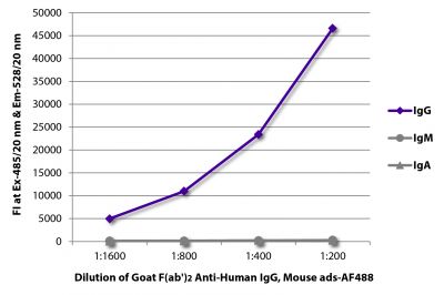 FLISA plate was coated with purified human IgG, IgM, and IgA.  Immunoglobulins were detected with serially diluted Goat F(ab')<sub>2</sub> Anti-Human IgG, Mouse ads-AF488 (SB Cat. No. 2043-30).