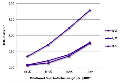 ELISA plate was coated with purified human IgG, IgM, and IgA.  Immunoglobulins were detected with serially diluted Goat Anti-Human IgG(H+L)-BIOT (SB Cat. No. 2015-08) followed by Streptavidin-HRP (SB Cat. No. 7100-05).