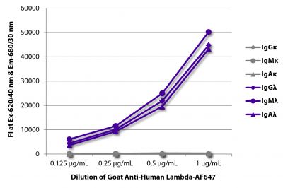 FLISA plate was coated with purified human IgGκ, IgMκ, IgAκ, IgGλ, IgMλ, and IgAλ.  Immunoglobulins were detected with serially diluted Goat Anti-Human Lambda-AF647 (SB Cat. No. 2070-31).