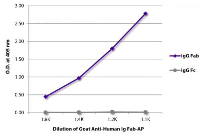 ELISA plate was coated with purified human IgG Fab and IgG Fc.  Immunoglobulins were detected with serially diluted Goat Anti-Human Ig Fab-AP (SB Cat. No. 2085-04).