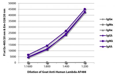 FLISA plate was coated with purified human IgGκ, IgMκ, IgAκ, IgGλ, IgMλ, and IgAλ.  Immunoglobulins were detected with serially diluted Goat Anti-Human Lambda-AF488 (SB Cat. No. 2070-30).