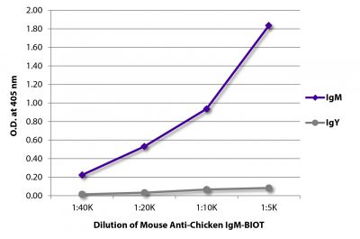 ELISA plate was coated with purified chicken IgM and IgY.  Immunoglobulins were detected with serially diluted Mouse Anti-Chicken IgM-BIOT (SB Cat. No. 8310-08) followed by Streptavidin-HRP (SB Cat. No. 7100-05).
