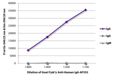 FLISA plate was coated with purified human IgA, IgG, and IgM.  Immunoglobulins were detected with serially diluted Goat F(ab')<sub>2</sub> Anti-Human IgA-AF555 (SB Cat. No. 2052-32).