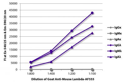 FLISA plate was coated with purified mouse IgGκ, IgMκ, IgAκ, IgGλ, IgMλ, and IgAλ.  Immunoglobulins were detected with serially diluted Goat Anti-Mouse Lambda-AF555 (SB Cat. No. 1060-32).
