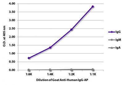 ELISA plate was coated with purified human IgG, IgM, and IgA.  Immunoglobulins were detected with serially diluted Goat Anti-Human IgG-AP (SB Cat. No. 2040-04).