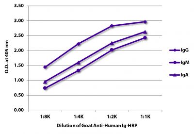ELISA plate was coated with purified human IgG, IgM, and IgA.  Immunoglobulins were detected with serially diluted Goat Anti-Human Ig-HRP (SB Cat. No. 2010-05).