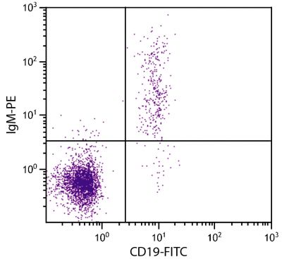 Human peripheral blood lymphocytes were stained with Mouse Anti-Human IgM-PE (SB Cat. No. 9022-09) and Mouse Anti-Human CD19-FITC (SB Cat. No. 9340-02).