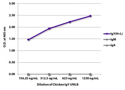 ELISA plate was coated with serially diluted Chicken IgY-UNLB (SB Cat. No. 0170-01).  Immunoglobulin was detected with Goat Anti-Chicken IgY(H+L)-BIOT (SB Cat. No. 6100-08),  Mouse Anti-Chicken IgM-BIOT (SB Cat. No. 8300-08), and Mouse Anti-Chicken IgA-BIOT (SB Cat. No. 8330-08) followed by Streptavidin-HRP (SB Cat No. 7100-05) and quantified.