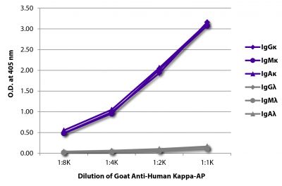 ELISA plate was coated with purified human IgGκ, IgMκ, IgAκ, IgGλ, IgMλ, and IgAλ.  Immunoglobulins were detected with serially diluted Goat Anti-Human Kappa-AP (SB Cat. No. 2060-04).