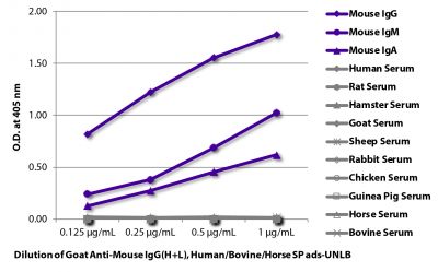 ELISA plate was coated with purified mouse IgG, IgM, and IgA and human, rat, hamster, goat, sheep, rabbit, chicken, guinea pig, horse, and bovine serum.  Immunoglobulins and sera were detected with serially diluted Goat Anti-Mouse IgG(H+L), Multi-Species SP ads-UNLB (SB Cat. No. 1038-01) followed by Mouse Anti-Goat IgG Fc-HRP (SB Cat. No. 6158-05).