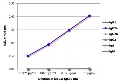 ELISA plate was coated with Goat Anti-Mouse IgG<sub>1</sub>, Human ads-UNLB (SB Cat. No. 1070-01), Goat Anti-Mouse IgG<sub>2a</sub>, Human ads-UNLB (SB Cat. No. 1080-01), Goat Anti-Mouse IgG<sub>2b</sub>, Human ads-UNLB (SB Cat. No. 1090-01), Goat Anti-Mouse IgG<sub>3</sub>, Human ads-UNLB (SB Cat. No. 1100-01), Goat Anti-Mouse IgA-UNLB (SB Cat. No. 1040-01), and Goat Anti-Mouse IgM, Human ads-UNLB (SB Cat. No. 1020-01).  Serially diluted Mouse IgG<sub>2a</sub>-BIOT (SB Cat. No. 0103-08) was captured followed by Streptavidin-HRP (SB Cat. No. 7100-05) and quantified.