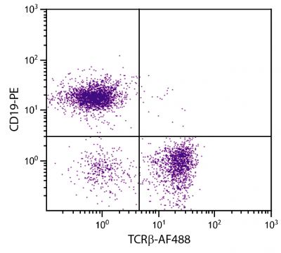 BALB/c mouse splenocytes were stained with Hamster Anti-Mouse TCRβ-AF488 (SB Cat. No. 1785-30) and Rat Anti-Mouse CD19-PE (SB Cat. No. 1575-09).