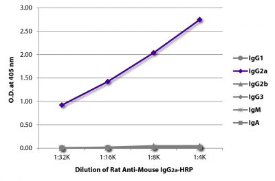ELISA plate was coated with purified mouse IgG<sub>1</sub>, IgG<sub>2a</sub>, IgG<sub>2b</sub>, IgG<sub>3</sub>, IgM, and IgA.  Immunoglobulins were detected with serially diluted Rat Anti-Mouse IgG<sub>2a</sub>-HRP (SB Cat. No. 1155-05).