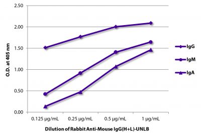 ELISA plate was coated with purified mouse IgG, IgM, and IgA.  Immunoglobulins were detected with Rabbit Anti-Mouse IgG(H+L)-UNLB (SB Cat. No. 6170-01) followed by Goat Anti-Rabbit IgG(H+L), Mouse/Human ads-HRP (SB Cat. No. 4050-05).