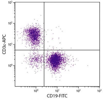 BALB/c mouse splenocytes were stained with Rat Anti-Mouse CD3ε-APC (SB Cat. No. 1535-11) and Rat Anti-Mouse CD19-FITC (SB Cat. No. 1575-02).