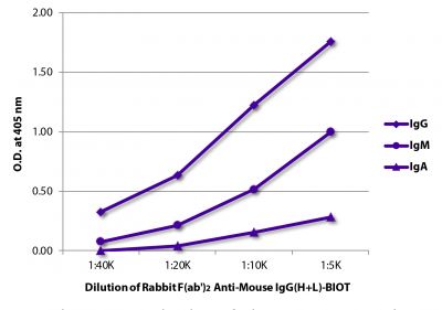 ELISA plate was coated with purified mouse IgG, IgM, and IgA.  Immunoglobulins were detected with serially diluted Rabbit F(ab')<sub>2</sub> Anti-Mouse IgG(H+L)-BIOT (SB Cat. No. 6120-08) followed by Streptavidin-HRP (SB Cat. No. 7100-05).