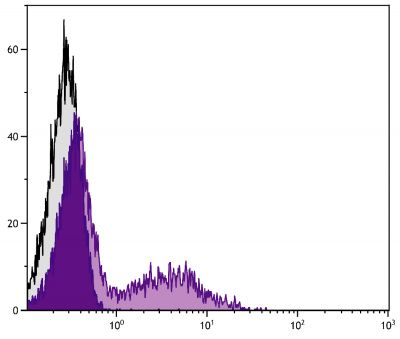 Rabbit peripheral blood lymphocytes were stained with Goat Anti-Rabbit IgG(H+L), Human ads-BIOT (SB Cat. No. 4051-08) followed by Streptavidin-FITC (SB Cat. No. 7105-02).