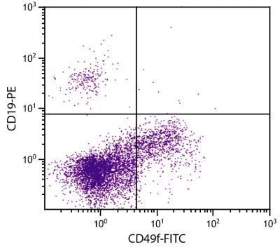 Human peripheral blood lymphocytes were stained with Mouse Anti-Human CD49f-FITC (SB Cat. No. 9650-02) and Mouse Anti-Human CD19-PE (SB Cat. No. 9340-09).