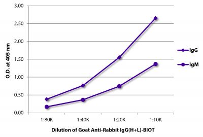 ELISA plate was coated with purified rabbit IgG and IgM.  Immunoglobulins were detected with serially diluted Goat Anti-Rabbit IgG(H+L)-BIOT (SB Cat. No. 4055-08) followed by Streptavidin-HRP (SB Cat. No. 7105-05).