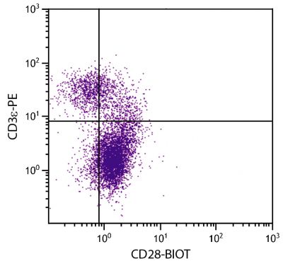 BALB/c mouse thymocytes were stained with Hamster Anti-Mouse CD28-BIOT (SB Cat. No. 1610-08) and Rat Anti-Mouse CD3ε-PE (SB Cat. No. 1535-09) followed by Streptavidin-FITC (SB Cat. No. 7100-02).