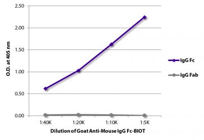ELISA plate was coated with purified mouse IgG Fc and IgG Fab.  Immunoglobulins were detected with serially diluted Goat Anti-Mouse IgG Fc-BIOT (SB Cat. No. 1033-08) followed by Streptavidin-HRP (SB Cat. No. 7100-05).