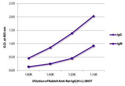 ELISA plate was coated with purified rat IgG and IgM.  Immunoglobulins were detected with Rabbit Anti-Rat IgG(H+L)-BIOT (SB Cat. No. 6180-08) followed by Streptavidin-HRP (SB Cat. No. 7100-05).