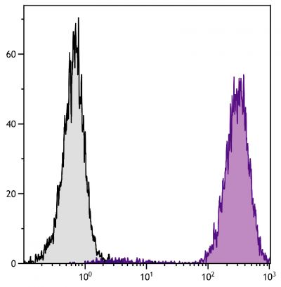 Human peripheral blood granulocytes were stained with Mouse Anti-Human CD15-PE (SB Cat. No. 9565-09).