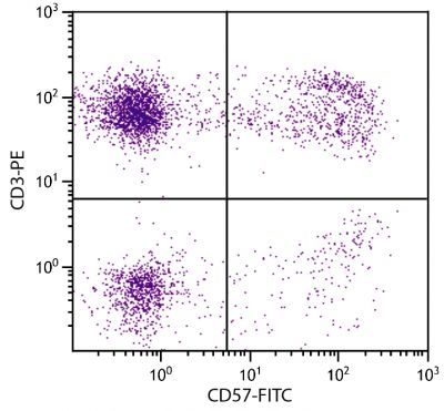 Human peripheral blood lymphocytes were stained with Mouse Anti-Human CD57-FITC (SB Cat. No. 9665-02) and Mouse Anti-Human CD3-PE (SB Cat. No. 9515-09).