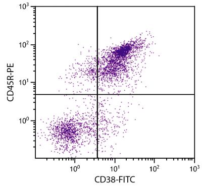 BALB/c mouse splenocytes were stained with Rat Anti-Mouse CD38-FITC (SB Cat. No. 1635-02) and Rat Anti-Mouse CD45R-PE (SB Cat. No. 1665-09).