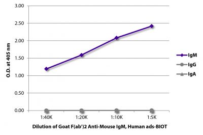 ELISA plate was coated with purified mouse IgM, IgG, and IgA.  Immunoglobulins were detected with serially diluted Goat F(ab')<sub>2</sub> Anti-Mouse IgM, Human ads-BIOT (SB Cat. No. 1022-08) followed by Streptavidin-HRP (SB Cat. No. 7100-05).