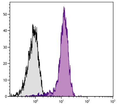 BALB/c mouse splenocytes were stained with Rat Anti-Mouse CD31-APC (SB Cat. No. 1625-11).