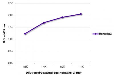 ELISA plate was coated with purified horse IgG.  Immunoglobulin was detected with Goat Anti-Equine IgG(H+L)-HRP (SB Cat. No. 6040-05).