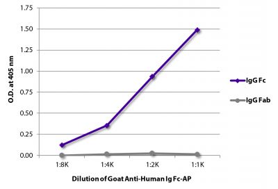 ELISA plate was coated with purified human IgG Fc and IgG Fab.  Immunoglobulins were detected with serially diluted Goat Anti-Human Ig Fc-AP (SB Cat. No. 2047-04).