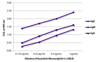 ELISA plate was coated with purified mouse IgG, IgM, and IgA.  Immunoglobulins were detected with serially diluted Goat Anti-Mouse IgG(H+L)-UNLB (SB Cat. No. 1036-01) followed by Mouse Anti-Goat IgG Fc-HRP (SB Cat. No. 6158-05).