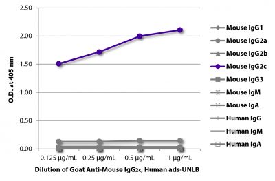 ELISA plate was coated with purified mouse IgG<sub>1</sub>, IgG<sub>2a</sub>, IgG<sub>2b</sub>, IgG<sub>3</sub>, IgM, and IgA and human IgG, IgM, and IgA.  Immunoglobulins were detected with serially diluted Goat Anti-Mouse IgG<sub>2c</sub>, Human ads-UNLB (SB Cat. No. 1079-01) followed by Swine Anti-Goat IgG(H+L), Human/Rat/Mouse SP ads-HRP (SB Cat. No. 6300-05).