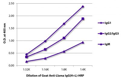 ELISA plate was coated with purified llama IgG<sub>1</sub>, IgG<sub>2</sub>/IgG<sub>3</sub>, and IgM.  Immunoglobulins were detected with Goat Anti-Llama IgG(H+L)-HRP (SB Cat. No. 6045-05).