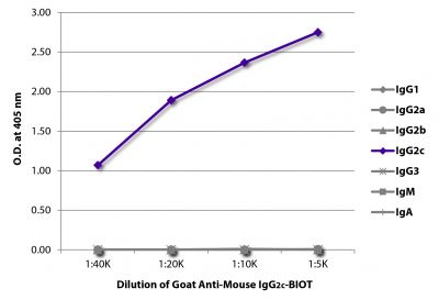 ELISA plate was coated with purified mouse IgG<sub>1</sub>, IgG<sub>2a</sub>, IgG<sub>2b</sub>, IgG<sub>2c</sub>, IgG<sub>3</sub>, IgM, and IgA.  Immunoglobulins were detected with serially diluted Goat Anti-Mouse IgG<sub>2c</sub>-BIOT (SB Cat. No. 1078-08) followed by Streptavidin-HRP (SB Cat. No. 7100-05).