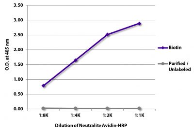 ELISA plate was coated with Goat Anti-Human IgG-BIOT (SB Cat. No. 2040-08) and purified/unlabeled Rat IgG<sub>2b</sub>κ.  Biotin conjugated antibody and purified immunoglobulin were detected with serially diluted Neutralite Avidin-HRP (SB Cat. No. 7200-05).