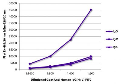 FLISA plate was coated with purified human IgG, IgM, and IgA.  Immunoglobulins were detected with serially diluted Goat Anti-Human IgG(H+L)-FITC (SB Cat. No. 2015-02).