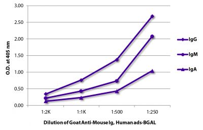 ELISA plate was coated with purified mouse IgG, IgM, and IgA.  Immunoglobulins were detected with serially diluted Goat Anti-Mouse Ig, Human ads-BGAL (SB Cat. No. 1010-06).