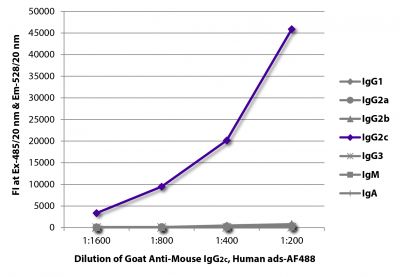 FLISA plate was coated with purified mouse IgG<sub>1</sub>, IgG<sub>2a</sub>, IgG<sub>2b</sub>, IgG<sub>2c</sub>, IgG<sub>3</sub>, IgM, and IgA.  Immunoglobulins were detected with serially diluted Goat Anti-Mouse IgG<sub>2c</sub>, Human ads-AF488 (SB Cat. No. 1079-30).