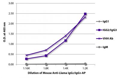 ELISA plate was coated with purified llama IgG<sub>1</sub>, IgG<sub>2</sub>/IgG<sub>3</sub>,  IgM, and a VHH antibody.  Immunoglobulins were detected with Mouse Anti-Llama IgG<sub>2</sub>/IgG<sub>3</sub>-AP (SB Cat. No. 5880-04).