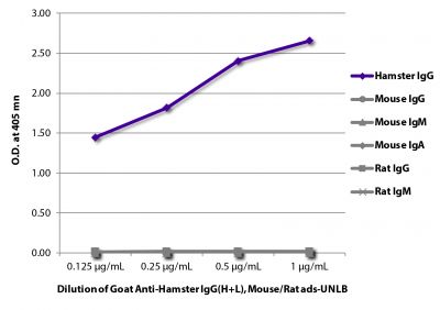 ELISA plate was coated with purified hamster IgG, Mouse IgG, IgM, and IgA, and Rat IgG and IgM.  Immunoglobulins were detected with Goat Anti-Hamster IgG(H+L), Mouse/Rat ads-UNLB (SB Cat. No. 6061-01) followed by Mouse Anti-Goat IgG Fc-HRP (SB Cat. No. 6158-05).