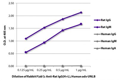 ELISA plate was coated with purified rat IgG and IgM and human IgG, IgM, and IgA.  Immunoglobulins were detected with serially diluted Rabbit F(ab')<sub>2</sub> Anti-Rat IgG(H+L), Human ads-UNLB (SB Cat. No. 6135-01) followed by Goat Anti-Rabbit IgG(H+L), Mouse/Human ads-HRP (SB Cat. No. 4050-05).