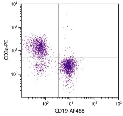 BALB/c mouse splenocytes were stained with Rat Anti-Mouse CD19-AF488 (SB Cat. No. 1575-30) and Rat Anti-Mouse CD3ε-PE (SB Cat. No. 1535-09).