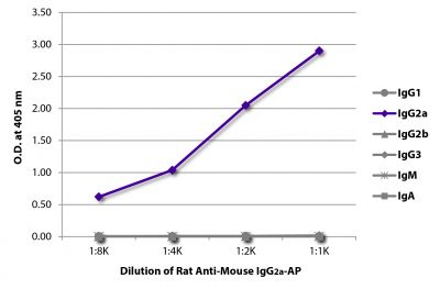 ELISA plate was coated with purified mouse IgG<sub>1</sub>, IgG<sub>2a</sub>, IgG<sub>2b</sub>, IgG<sub>3</sub>, IgM, and IgA.  Immunoglobulins were detected with serially diluted Rat Anti-Mouse IgG<sub>2a</sub>-AP (SB Cat. No. 1155-04).